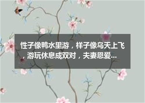 性子像鸭水里游，样子像鸟天上飞，游玩休息成双对，夫妻恩爱永不离。（打一动物）