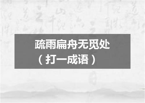 疏雨扁舟无觅处（打一成语）