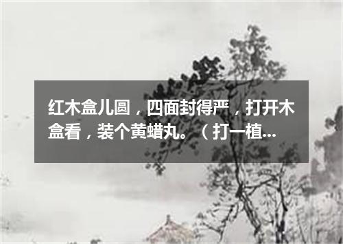 红木盒儿圆，四面封得严，打开木盒看，装个黄蜡丸。（打一植物）