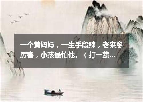 一个黄妈妈，一生手段辣，老来愈厉害，小孩最怕他。（打一蔬菜）