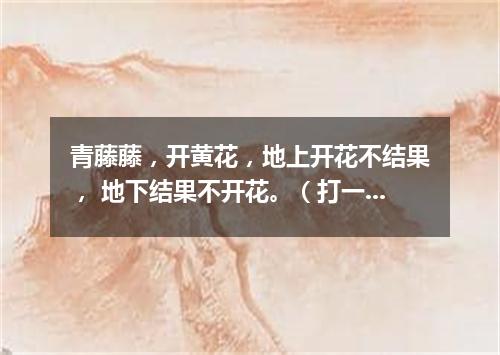青藤藤，开黄花，地上开花不结果， 地下结果不开花。（打一植物）