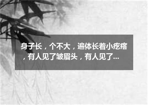 身子长，个不大，遍体长着小疙瘩，有人见了皱眉头，有人见了乐开花。（打一植物）