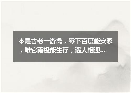 本是古老一游禽，零下百度能安家，唯它南极能生存，遇人相迎不害怕。（打一动物）