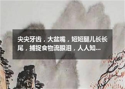 尖尖牙齿，大盆嘴，短短腿儿长长尾，捕捉食物流眼泪，人人知它假慈悲。（打一动物）