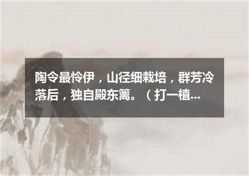 陶令最怜伊，山径细栽培，群芳冷落后，独自殿东篱。（打一植物）