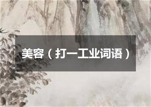 美容（打一工业词语）