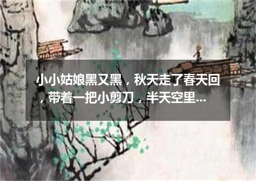 小小姑娘黑又黑，秋天走了春天回，带着一把小剪刀，半天空里飞呀飞。（打一动物）