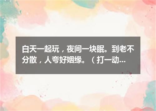 白天一起玩，夜间一块眠。到老不分散，人夸好姻缘。（打一动物）