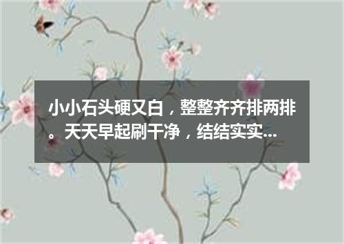小小石头硬又白，整整齐齐排两排。天天早起刷干净，结结实实不爱坏。（打一人体器官）