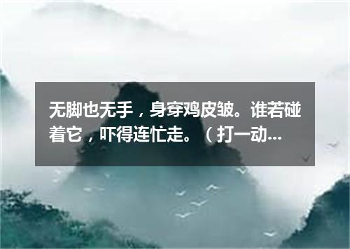 无脚也无手，身穿鸡皮皱。谁若碰着它，吓得连忙走。（打一动物）