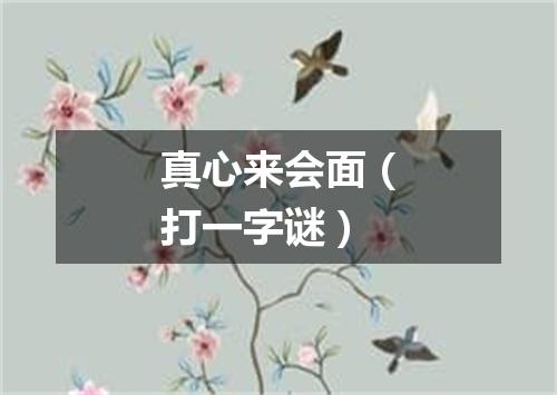 真心来会面（打一字谜）