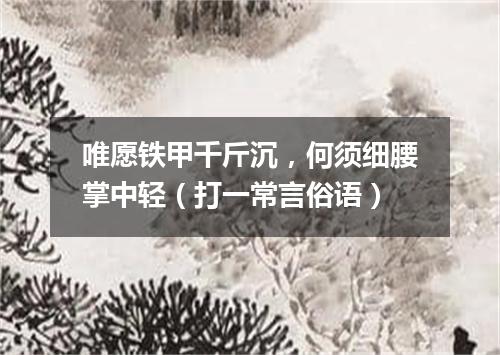 唯愿铁甲千斤沉，何须细腰掌中轻（打一常言俗语）