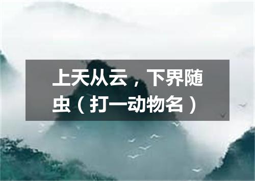 上天从云，下界随虫（打一动物名）