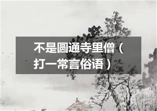 不是圆通寺里僧（打一常言俗语）