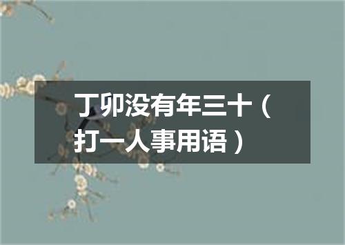 丁卯没有年三十（打一人事用语）