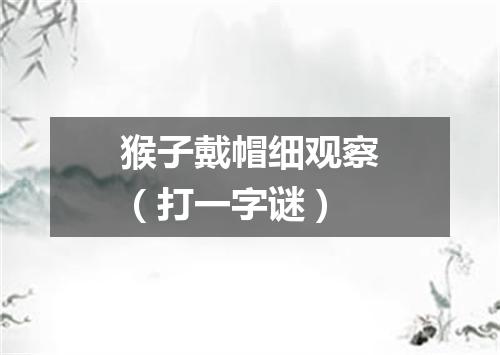 猴子戴帽细观察（打一字谜）