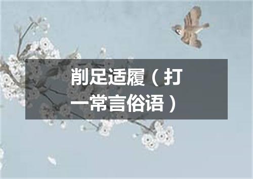 削足适履（打一常言俗语）