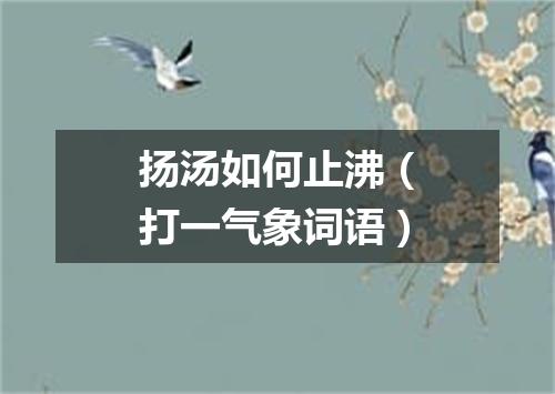 扬汤如何止沸（打一气象词语）