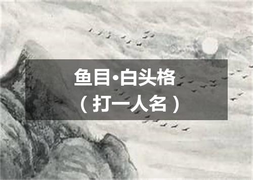 鱼目·白头格（打一人名）