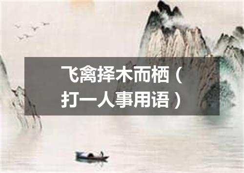 飞禽择木而栖（打一人事用语）
