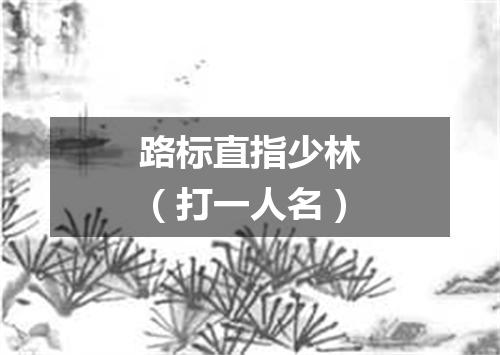 路标直指少林（打一人名）