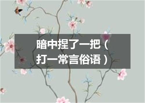 暗中捏了一把（打一常言俗语）