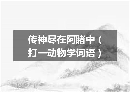 传神尽在阿睹中（打一动物学词语）