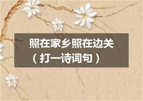 照在家乡照在边关（打一诗词句）