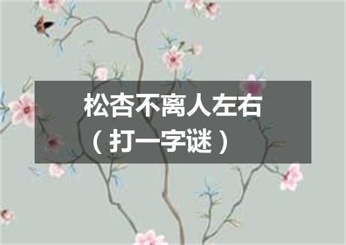 松杏不离人左右（打一字谜）