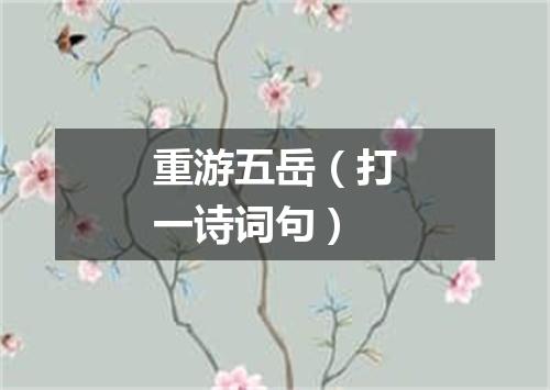 重游五岳（打一诗词句）