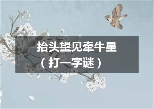 抬头望见牵牛星（打一字谜）