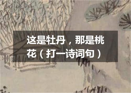 这是牡丹，那是桃花（打一诗词句）