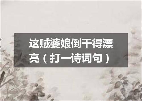 这贼婆娘倒干得漂亮（打一诗词句）