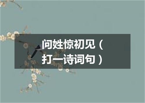 问姓惊初见（打一诗词句）