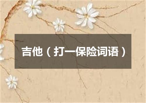 吉他（打一保险词语）