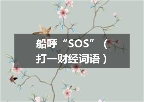 船呼“SOS”（打一财经词语）