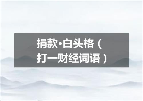 捐款·白头格（打一财经词语）