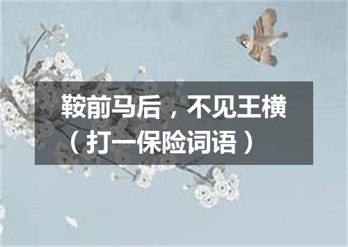 鞍前马后，不见王横（打一保险词语）