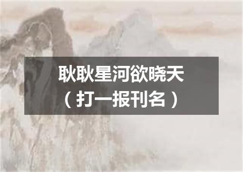 耿耿星河欲晓天（打一报刊名）