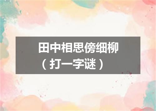 田中相思傍细柳（打一字谜）