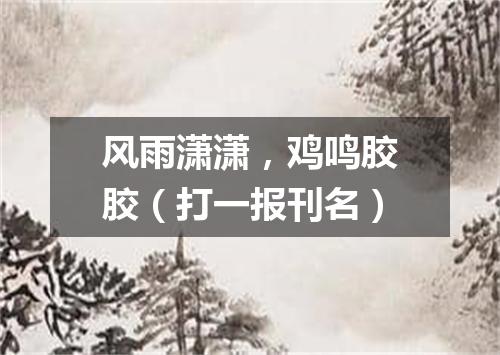 风雨潇潇，鸡鸣胶胶（打一报刊名）