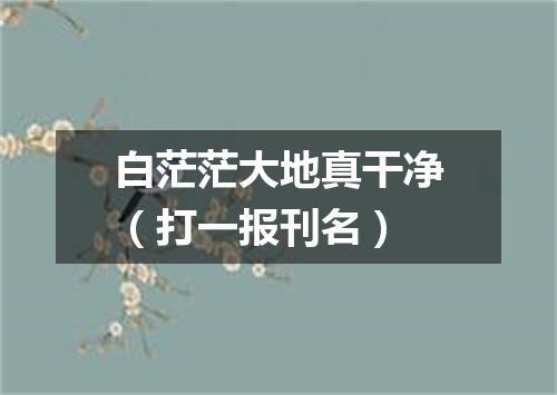 白茫茫大地真干净（打一报刊名）