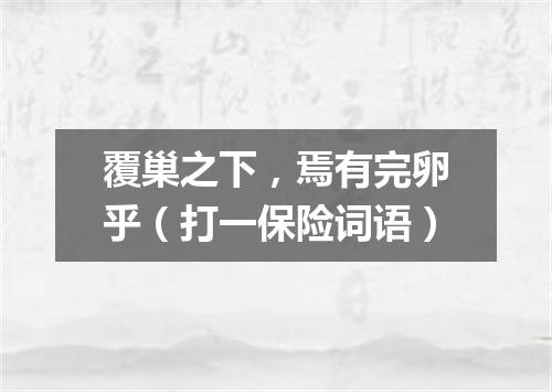 覆巢之下，焉有完卵乎（打一保险词语）