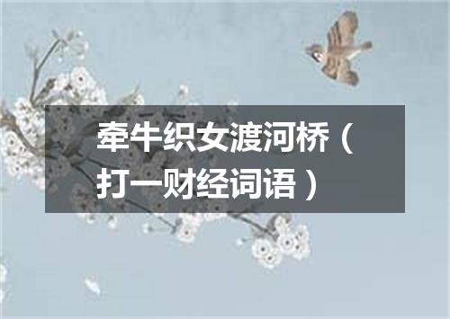 牵牛织女渡河桥（打一财经词语）