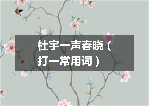 杜宇一声春晓（打一常用词）