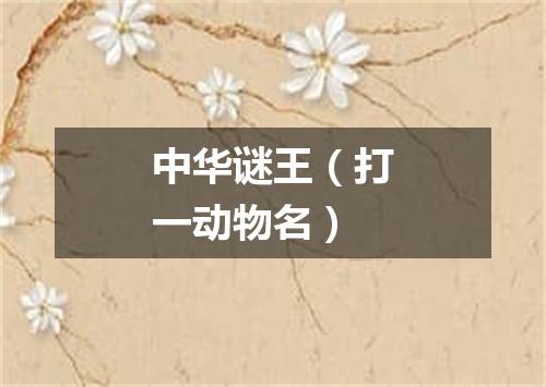 中华谜王（打一动物名）