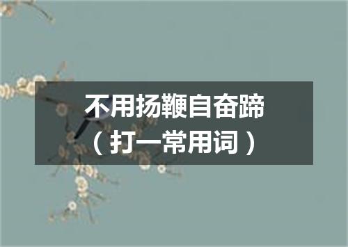 不用扬鞭自奋蹄（打一常用词）