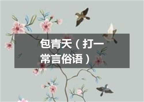 包青天（打一常言俗语）