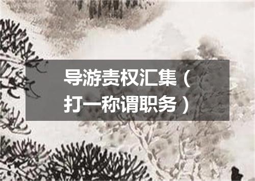 导游责权汇集（打一称谓职务）