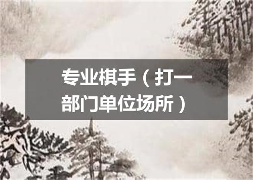 专业棋手（打一部门单位场所）